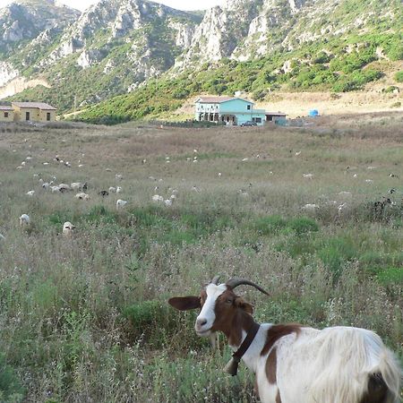 Agriturismo Sa Rocca Iglesias Dış mekan fotoğraf