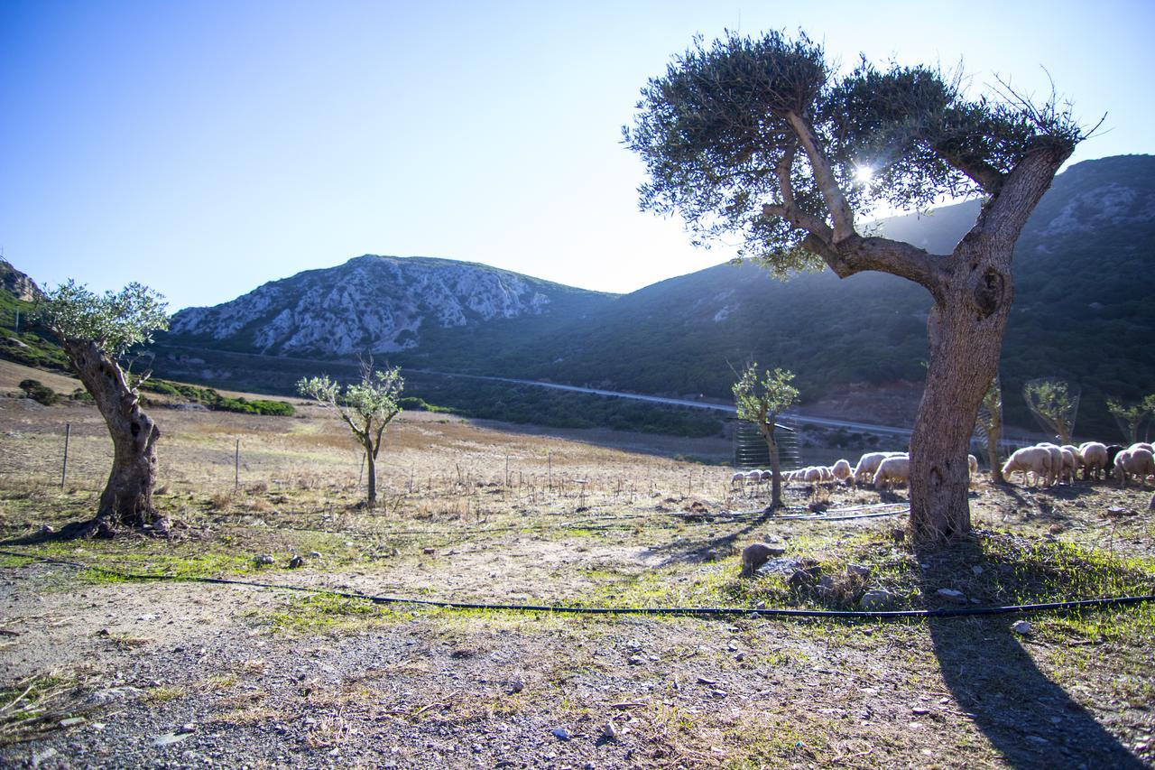Agriturismo Sa Rocca Iglesias Dış mekan fotoğraf